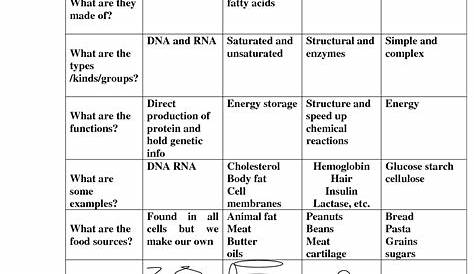 14 Best Images of Biology Macromolecules Worksheets And Answers