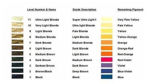hair color levels 1 10 chart