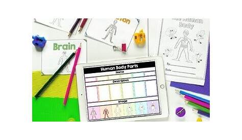 The Human Body- 1st & 2nd Grade by Common Core Kingdom | TpT