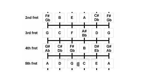 Learn the Guitar Fretboard : Guitar Lessons