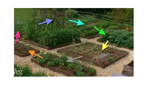 vegetable garden crop rotation