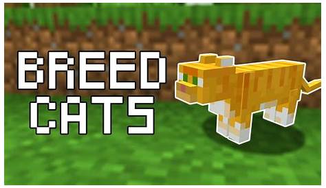 How to Breed Cats in Minecraft (All Versions) - YouTube