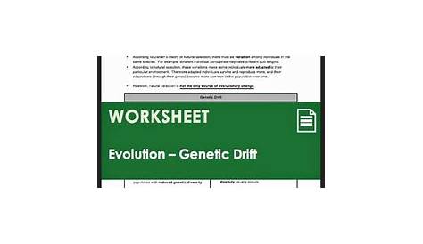 genetic drift worksheets answer key