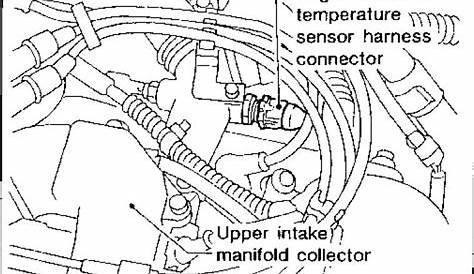 maxima engine sensor parts diagram