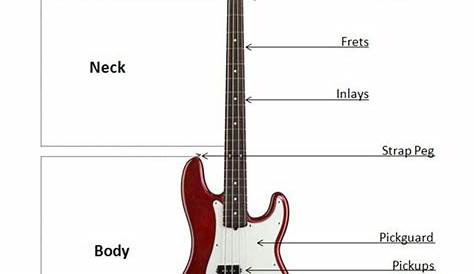 Fender Precision Bass (P-Bass) Guitar Diagram | Guitar, Bass guitar
