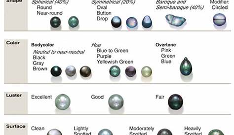 Different Types Of Pearls - sharedoc