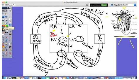 heart circuit box diagram
