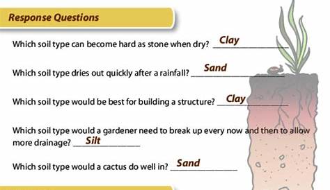 soil formation worksheets