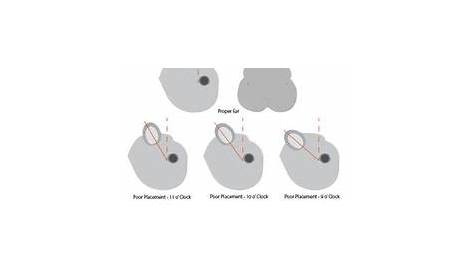 roller rabbit size chart