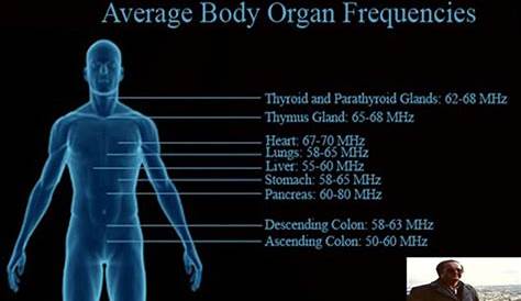 human body frequency chart