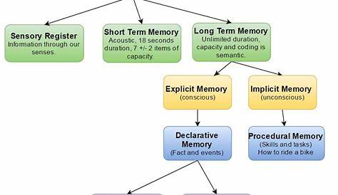 Embedded image | Human memory, Memory psychology, Human behavior psychology