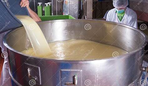 Cheese production stock image. Image of industrial, production - 28596625