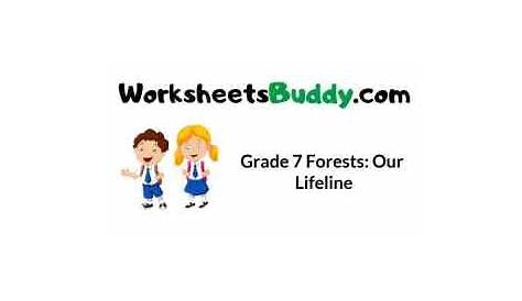 Grade 7 Forests: Our Lifeline Worksheets - WorkSheets Buddy