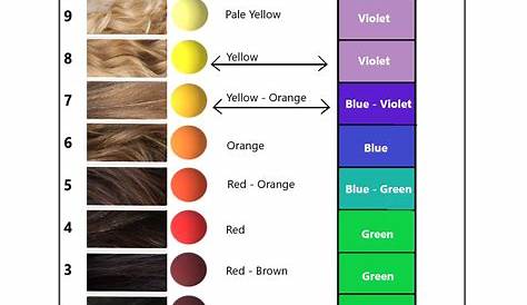 hair color levels chart