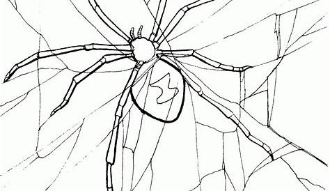 spider coloring page printable