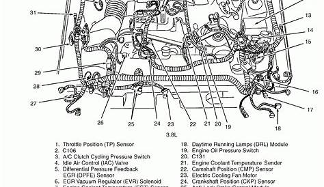 Engine Diagram 8 Ford Escape Sport | Ford escape, Mustang engine, Ford