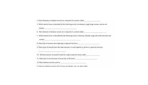 the muscular system worksheet answers