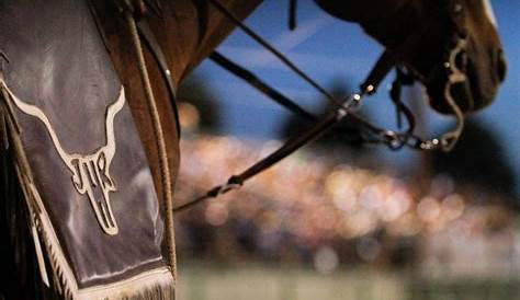 Jackson Hole Wyoming Rodeo - AllTrips