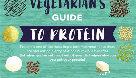 Vegetarian’s Guide to Protein [Infographic] - Best Infographics