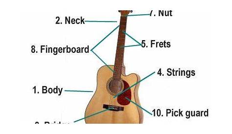 parts of guitar worksheets