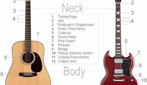 Parts of the Guitar - Clearest Guitar Parts Diagram & Detailed Breakdown