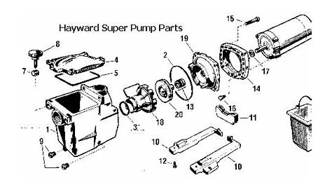Hayward Superpump Diagram