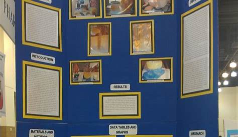 8th Grade Science Fair Project by Maryam Bharucha: 2013 LA County