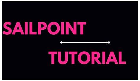 sailpoint tutorial pdf