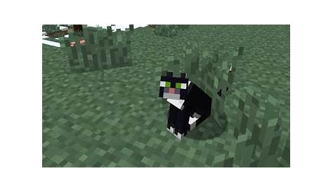 what do cats do in minecraft
