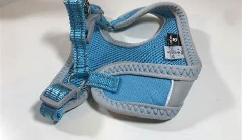 light blue dog harness