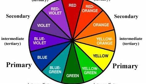 Color Wheel | Hair dye removal, Hair color, Dyed hair