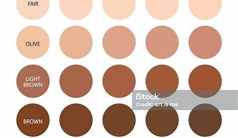 Skin Tone Infographic Color Table Chart Beauty Human Index Vector