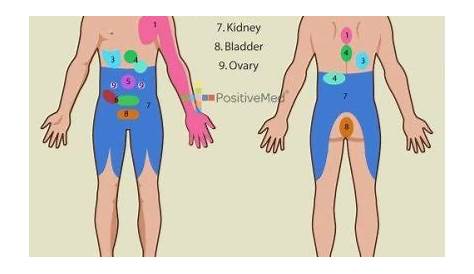 9 Types Of Referred Pain You Should Know To Save Your Life