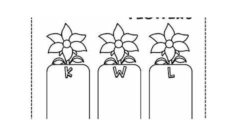 flower life cycle worksheet printable