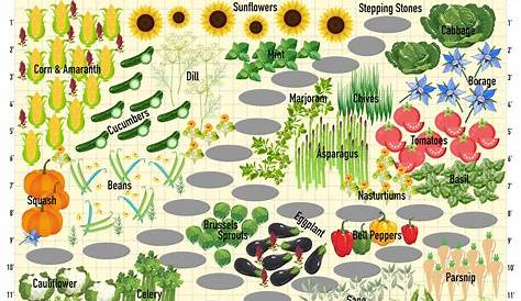 vegetable garden compatible plants chart
