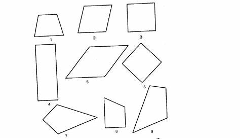 sorting quadrilaterals worksheets