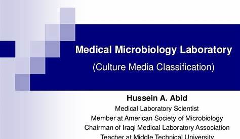 Medical Microbiology Laboratory (culture media classification)
