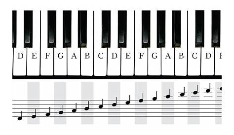 COLOR KEYS: The notes on a piano keyboard are analogous to the concept