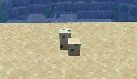 How long does it take for Turtle Eggs to hatch in Minecraft?