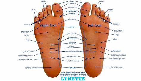 vita flex foot chart