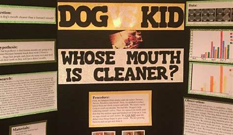 science project for 3rd grade