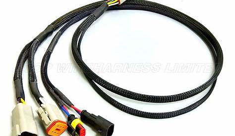 Automotive Engine Modified Complete Wiring Harnesses Supplier