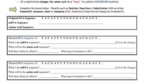 Mutations Worksheet