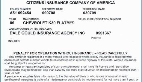 State Farm Insurance Card Template / Fake Insurance Cards - Fill Online