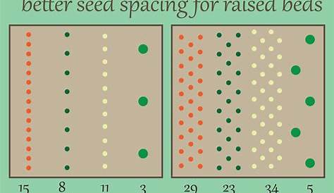 vegetable seed spacing chart