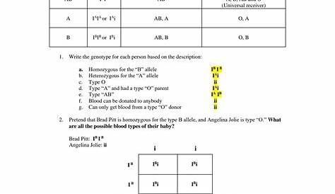 SOLUTION: Codominance blood types worksheet - Studypool