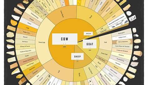 Cheese Wheel Chart for Cheese Lovers [Infographic] » TwistedSifter