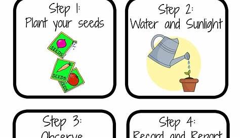 planting worksheets for preschool