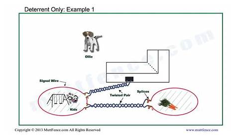 Petsafe Invisible Fence Wiring Diagram