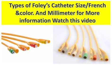 sizes of foley catheter chart